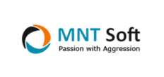 MNT Soft